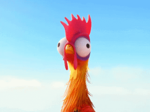 chicken